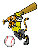 purdys central high tiger sports baseball