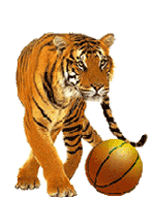 purdys central high tiger sports basketball