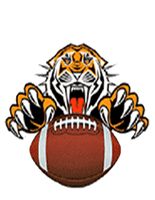 purdys central high tiger sports football